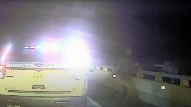 Невероятни видеозаписи показват ужасяващ момент когато полицейско куче във Флорида