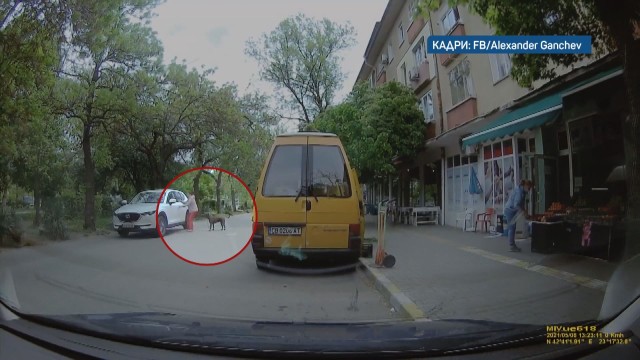 Тъжна гледка: Заснеха как стопанин изхвърля кучето си на оживена столична улица