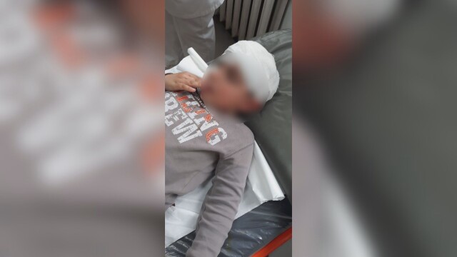 Куче нападна 5-годишно дете в Ловеч. Момченцето е с ухапвания