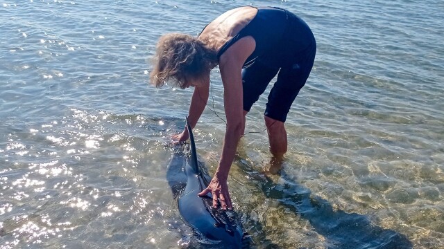 Бедстваш делфин е спасен от екип на Регионалната инспекция по