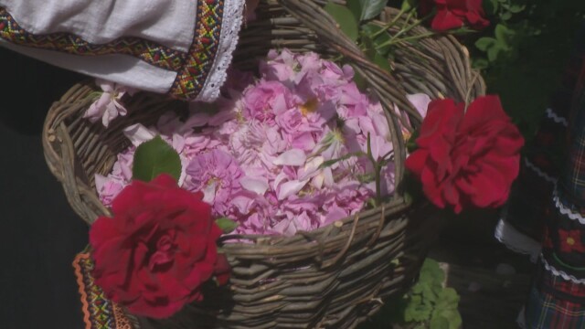 Празникът на розата в Казанлък е чакан цяла година не