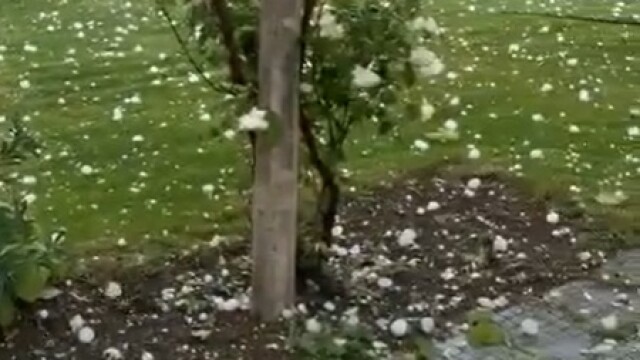 Градушка с големина на тенис топка удари община Твърдица Най големи