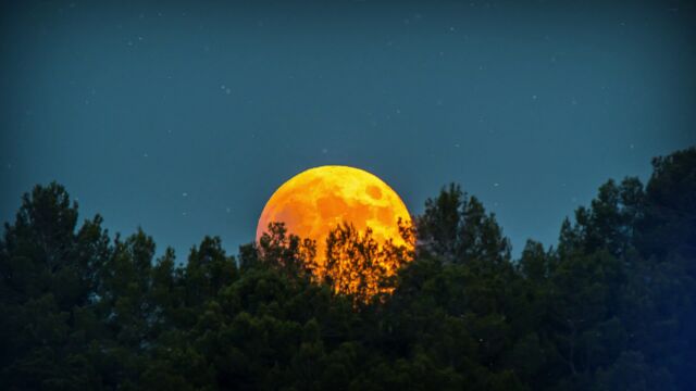Тази вечер ще може да наблюдаваме лунно затъмнение Полусянката на