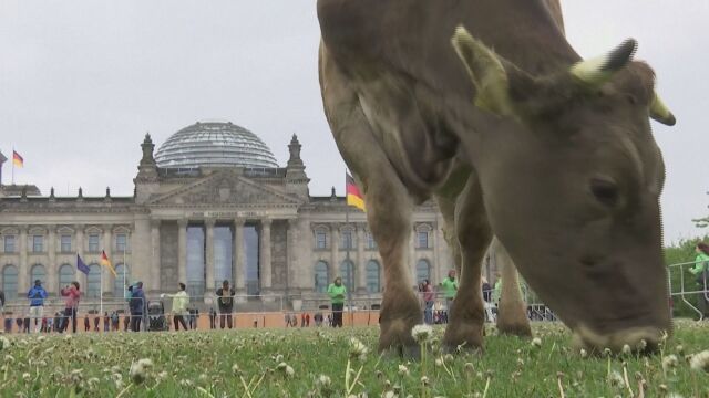 Посетителите на германската столица останаха изненадани тъй като протест на
