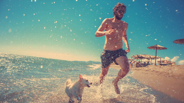 Забрана за кучета на Варненския плаж е в сила от