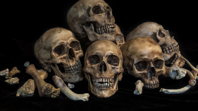 Археолози откриха скелетите на петима души без ръце и крака