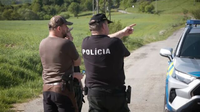 Мечка нападна и рани гъбар в гора в Словакия Животното
