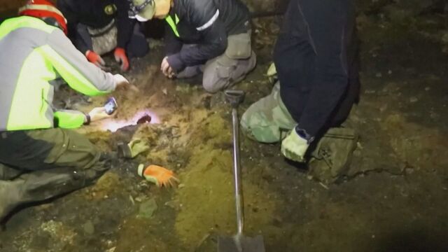 Пет човешки скелета без ръце и крака бяха открити във