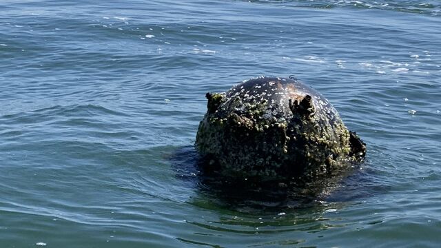  Военноморските сили на Румъния извършиха контролирана експлозия на мина която