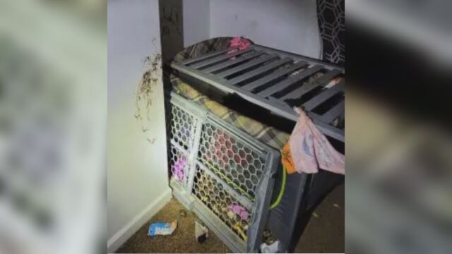 2 годишно момче е намерено в окаяно състояние и със синини