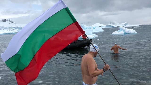 Снимка: Петър Стойчев развя българското знаме в ледените води на Антарктида 