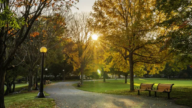 Парк в най големия канадски град Торонто ще носи името Игнат