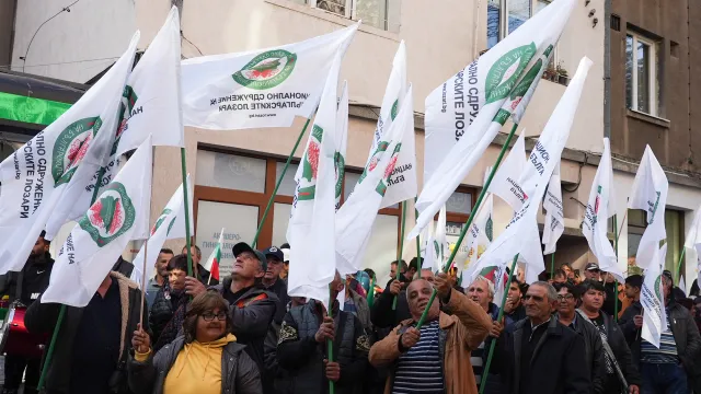 Лозарите на протест в София