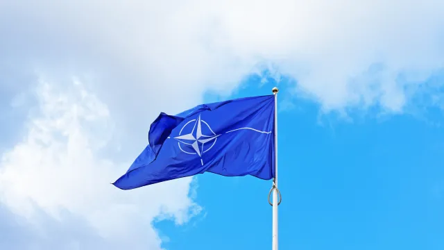 НАТО проверява докладите със съюзника съобщи служител международна организация