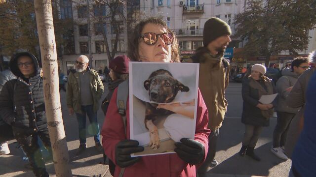 пред Съдебната палата в София срещу насилника на бездомното куче