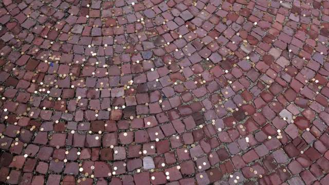 Днес преди обед служителите на Министерството на външните работи спряха