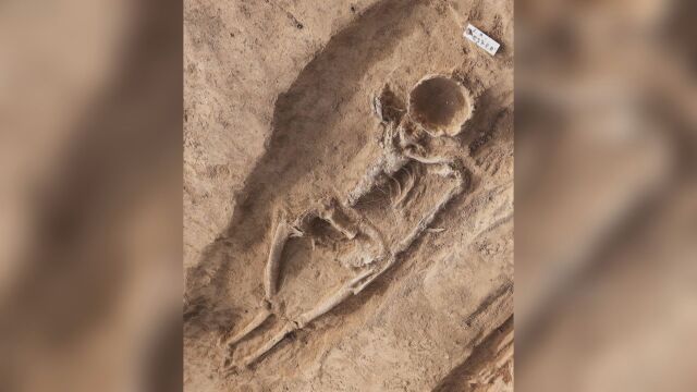 Скелетите на мъж и жена погребани един до друг привличат