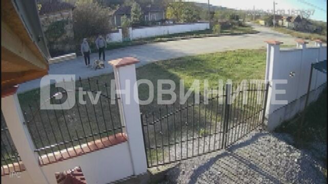 Мъж пусна питбула си срещу улично куче Гледката е заснета