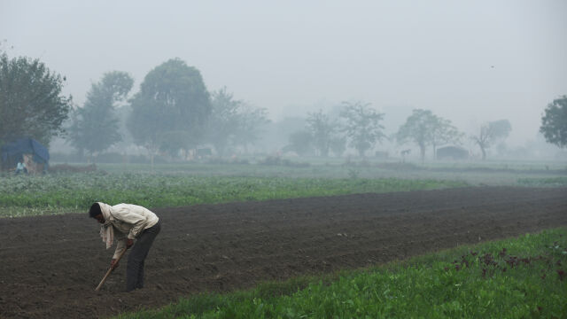 Токсичен смог дебела мъгла и опушено небе покриха Ню Делхи след