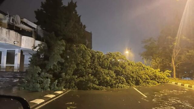 Ураганният вятър блокира пътища и в района на Бургас Временно