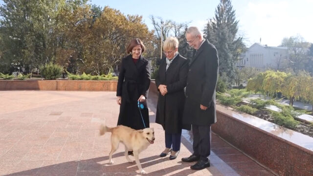 „Първото куче“ на Молдова ухапа президент (ВИДЕО)