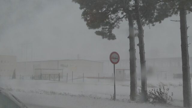 Силен вятър и обилен снеговалеж затрудняват движението в Добрич и