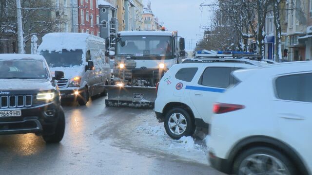 След обилния снеговалеж: Паднали дървета и заледени тротоари в София