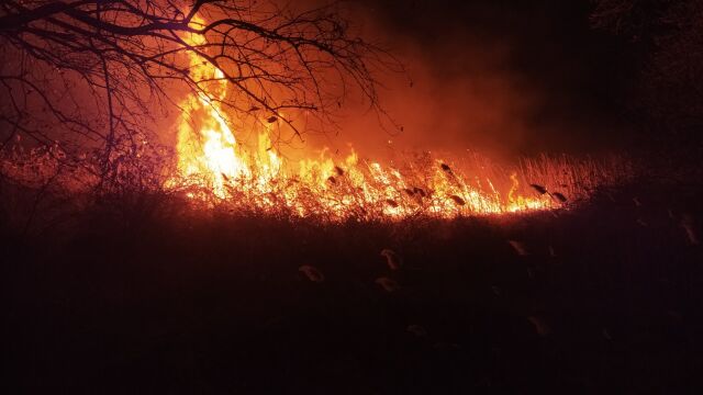 Голям пожар гори в земеделски земи на изхода на Пловдив