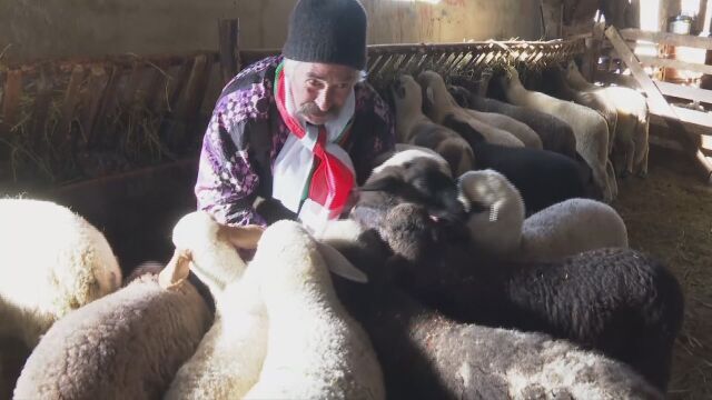 През последните дни във Велинград ставаме свидетели на напрежение след