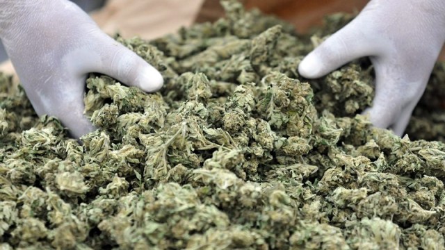  350 килограма марихуана опакована във вакуумирани пликове и подредени в