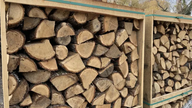 Почти тройно повече заявки за дърва за огрев отчитат от