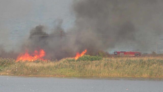 Пожар гори край Атанасовското езеро в Бургас по пътя за