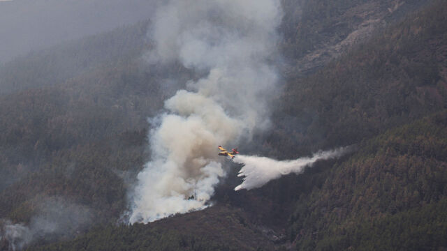 Отново голям горски пожар на остров Тенерифе Три хиляди души