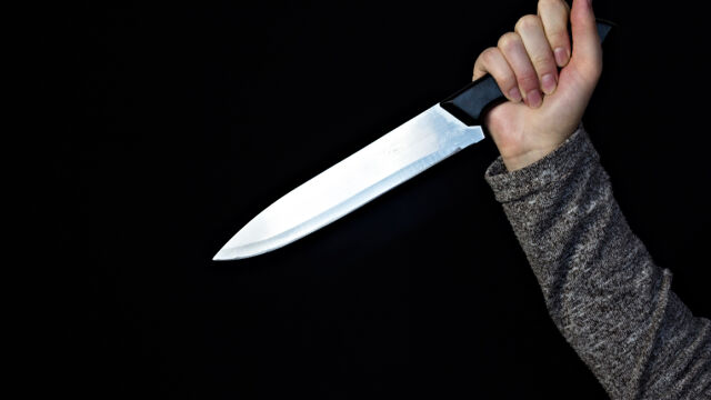 24 годишен мъж намушка с нож многократно и уби 64 годишната си