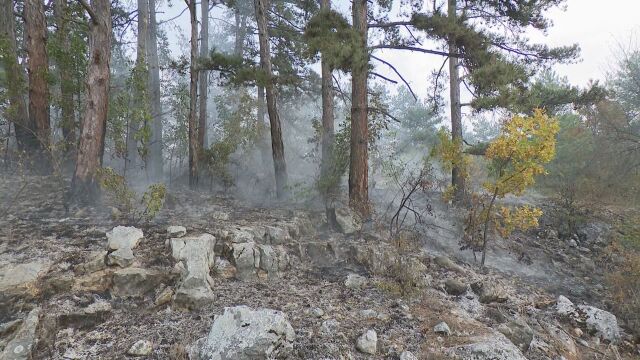 Пожар гори край костинбродското село Безден в посока село Понор