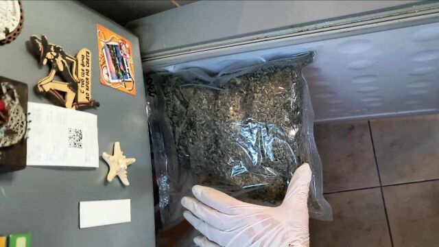 Акция за наркотици е проведена вчера от служители а сектор