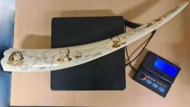 24 годишна рускиня може да получи солена глоба след като опитала