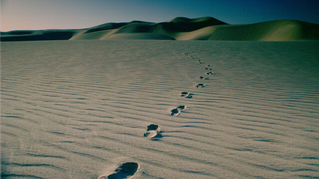 Мистериозни символи издълбани в пустинята на Катар Някои от тях