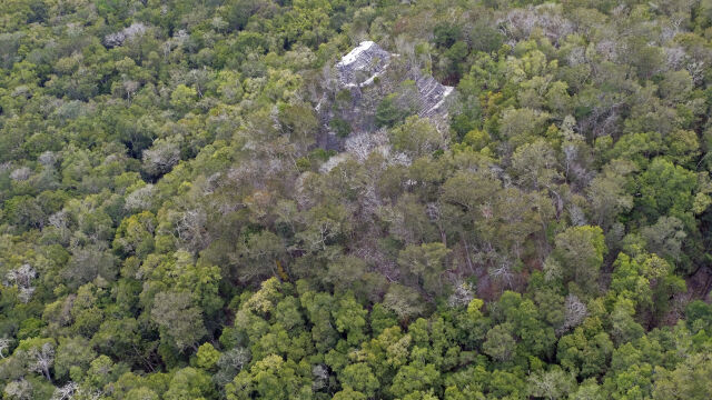 Нов огромен град на маите беше открит в джунглата в