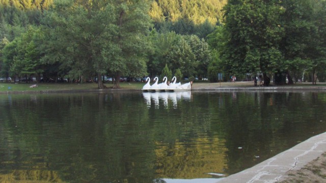 Седемнадесет патици са застреляни край езерото на благоевградския парк Бачиново