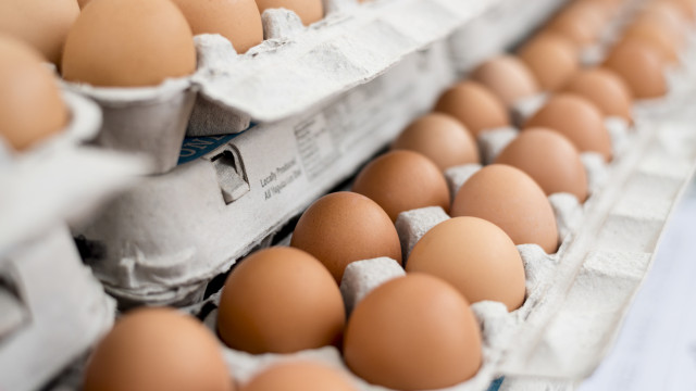 Над 302 хил яйца от България са били задържани от