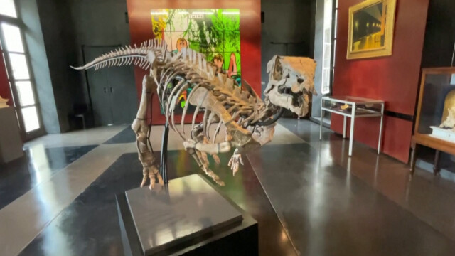 Любителите на динозаврите в Париж имат шанс да се сдобият