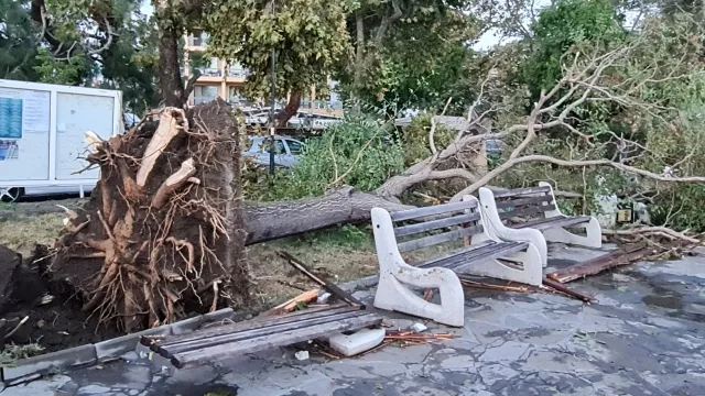 Пораженията от бурята в Поморие