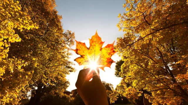 Чака ни златна есен Очаква ни двуседмичен период с много