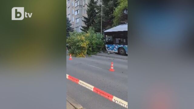 Автобус на градския транспорт в София се заби в дърво