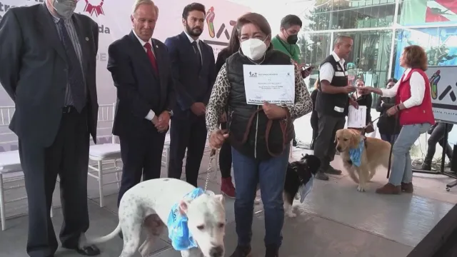 Необичайна церемония за награждаване на кучета се състоя в Мексико