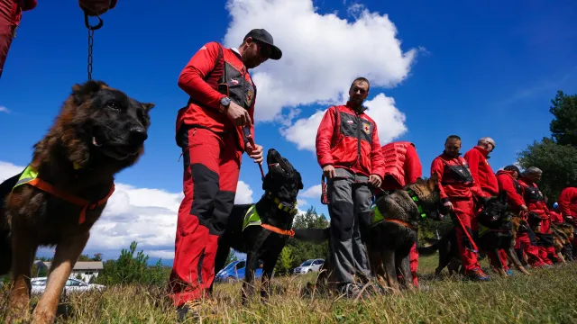 Планински спасители и водачи на кучета проведоха есенната си подготовка