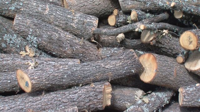 Нова измамна схема с дърва за огрев в благоевградски села