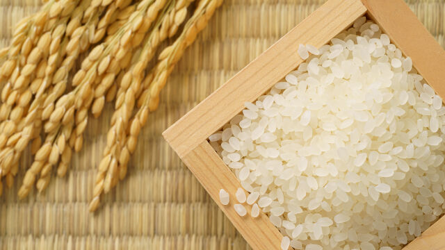 Цената ориза достигна 12 годишен връх в световен мащаб съобщи Световната
