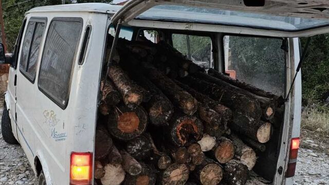 Горски служители предотвратиха незаконен превоз на дървен материал Тази нощ